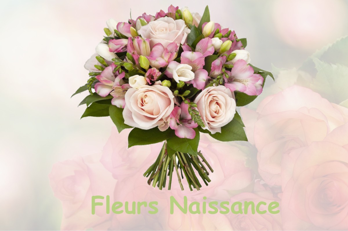 fleurs naissance VALENCE-SUR-BAISE